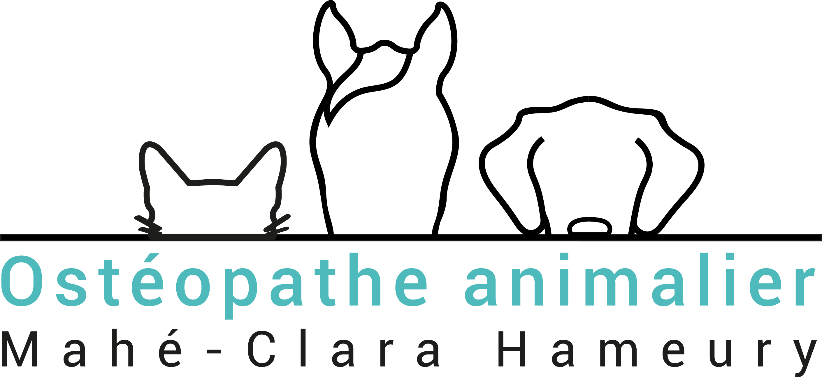 logo-mahé