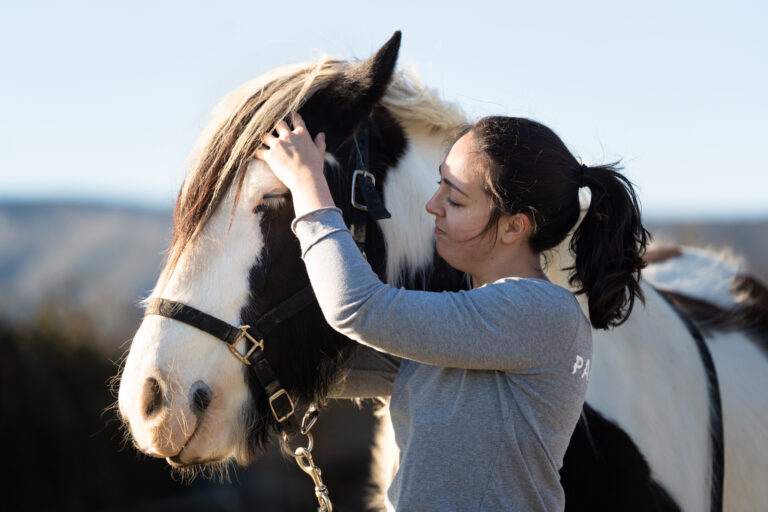 ostopathe animalier - osteopathie equestre