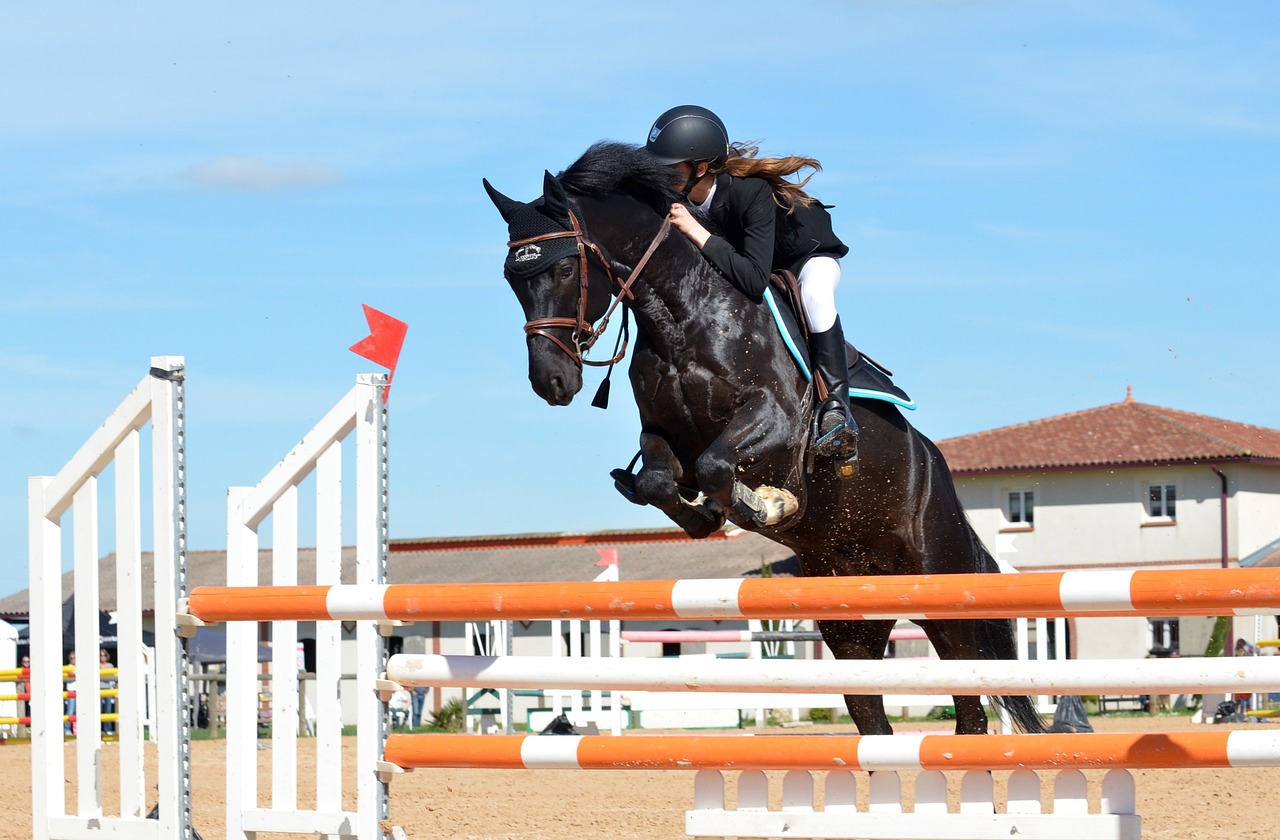 bienfaits ostéopathie pour chevaux